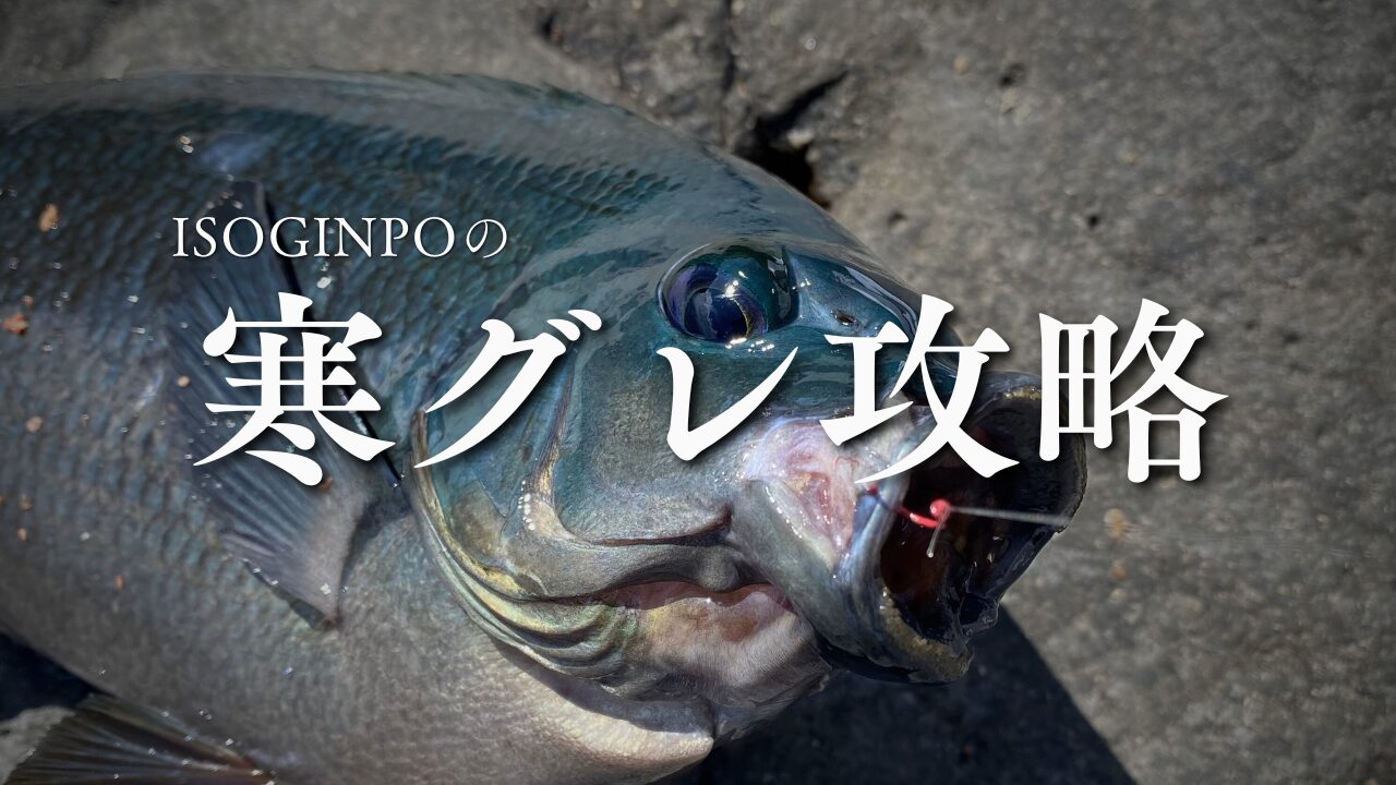 ウキフカセ釣り】寒グレの攻略法！厳寒期のメジナの釣り方、コツを徹底 
