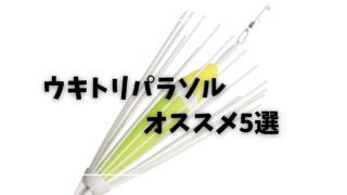 白-シンプル-写真-モーニング 
