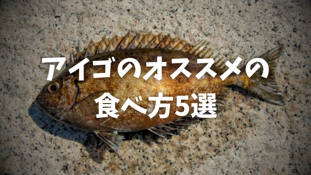 アイゴ の 食べ 方