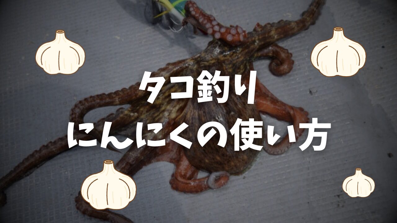 タコ が 好き な 匂い