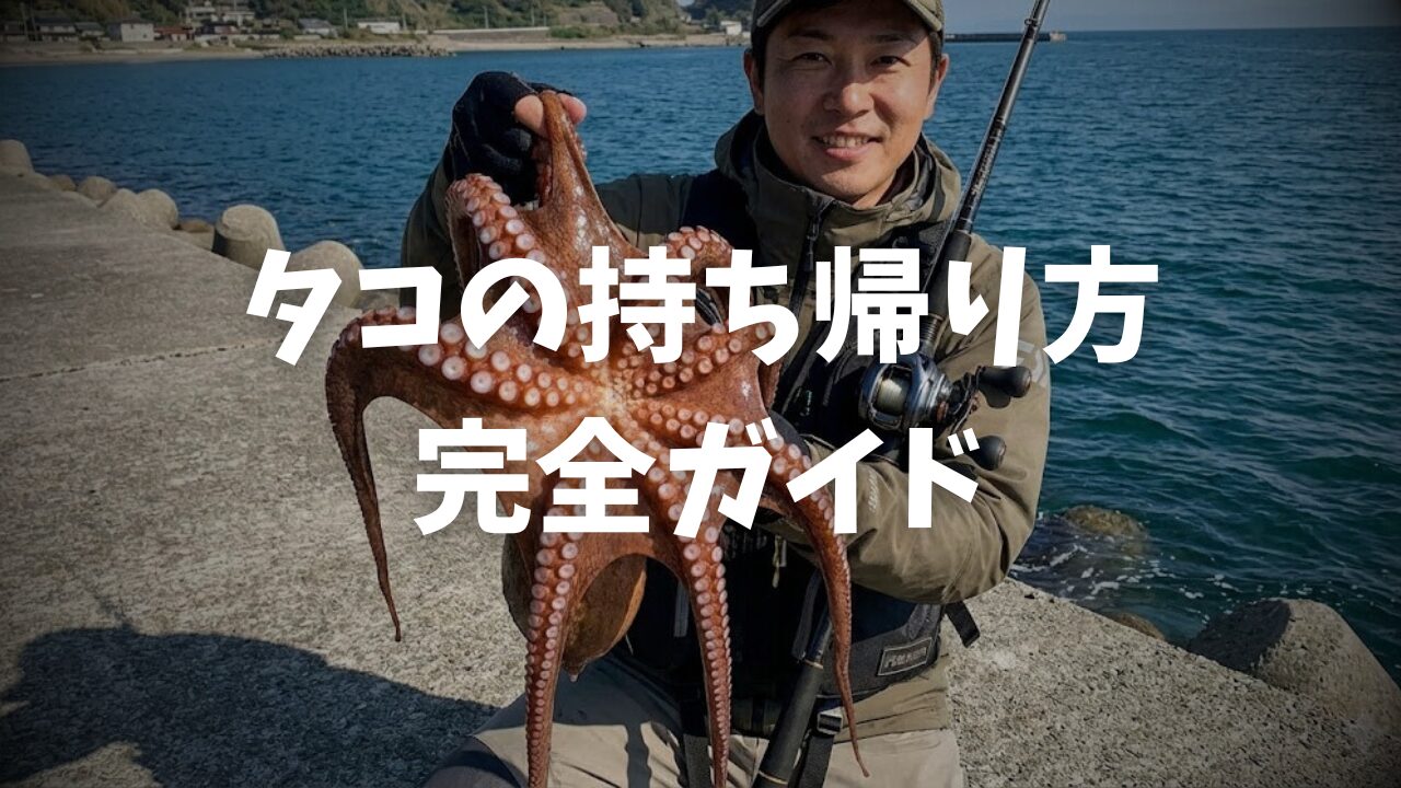 完全版】タコ釣りの持ち帰り方＆締め方！脱走を防ぐ必須道具とヌメリ 